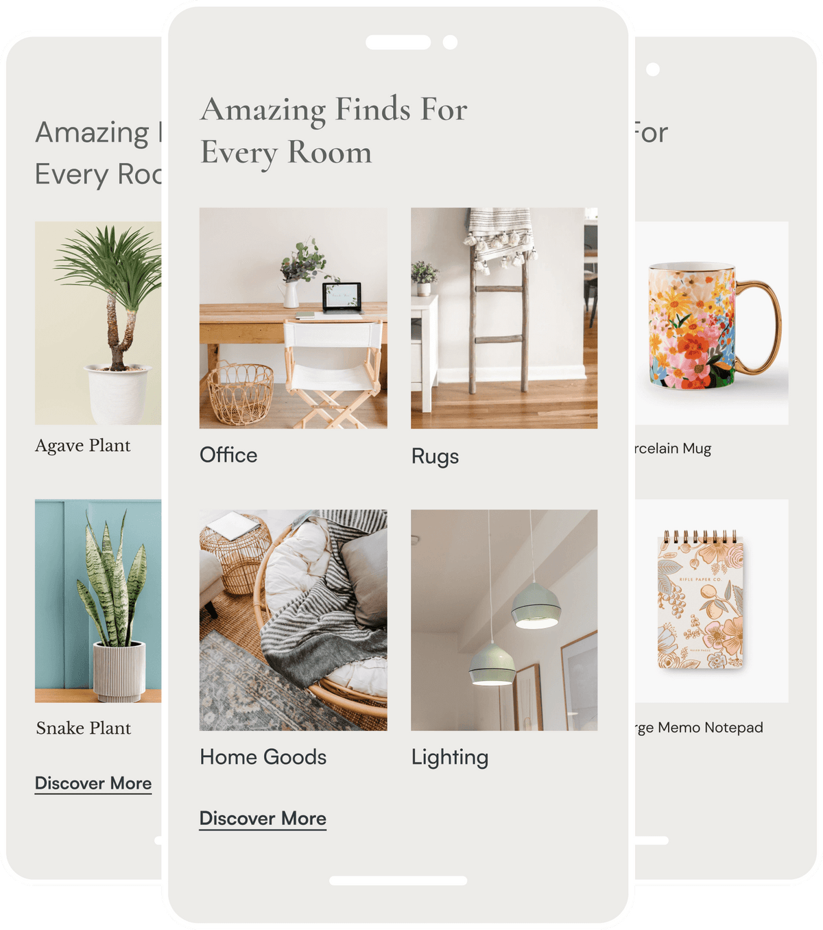 Image with text section