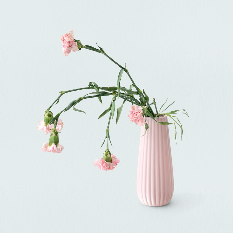 Pastel Pink Mini Flower Vase