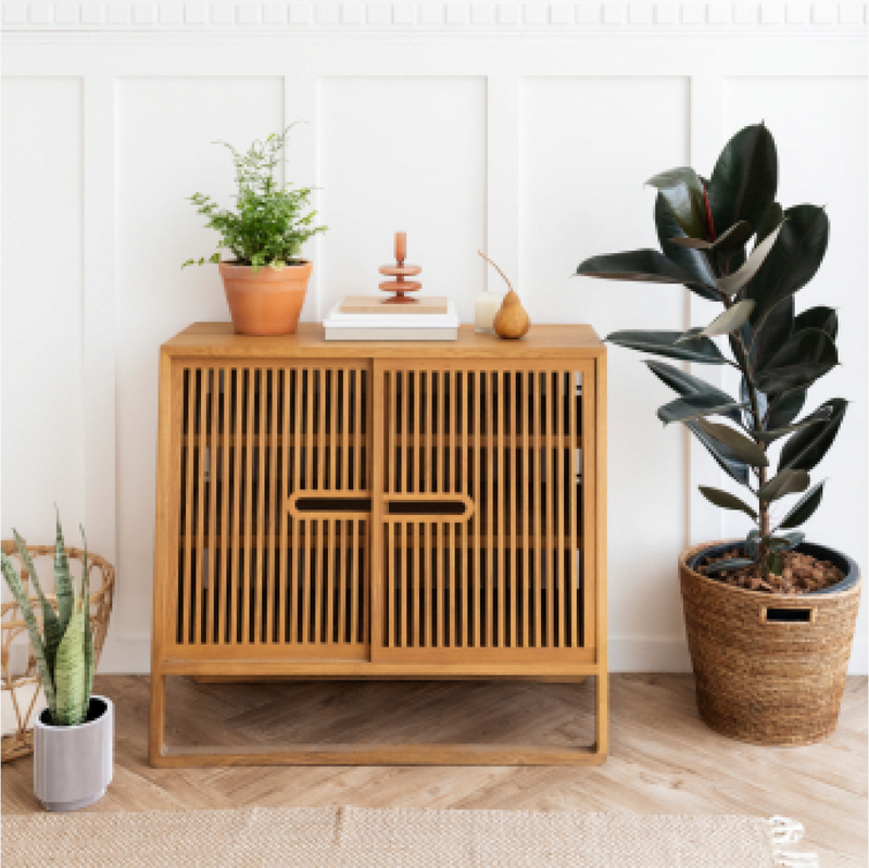 Revanti Modern Storage Chest